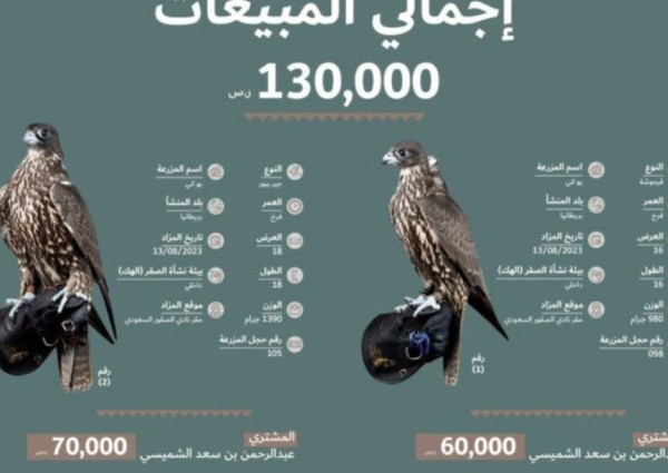 مزرعة بريطانية تقدم صقرين من أفضل صقورها في منصة المزاد الدولي لمزارع إنتاج الصقور