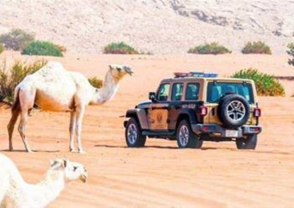 القوات الخاصة للأمن البيئي تضبط مخالفًا لنظام البيئة لارتكابه مخالفة رعي