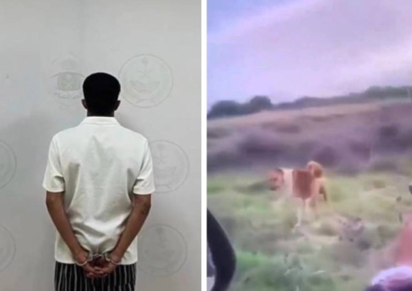 شرطة جازان تطيح بمواطن ظهر في مقطع وهو يطلق النار على حيوان