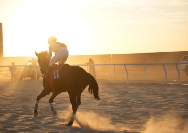 ميدان فروسية حفر الباطن يقيم سباقه الخامس للموسم ١٤٤٥هـ