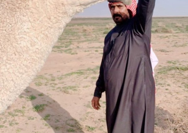 عدسة “الشمال الإلكترونية” ترصد بوادر الربيع في وادي بن هادي جنوب حائل