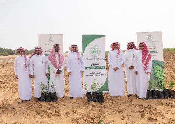 محافظ الطوال يستكمل المرحلة الثانية لزراعة أشجار العود والصندل بالمحافظة