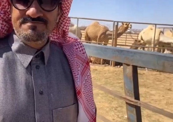 الأسعار وصلت لـ 15 ألف.. بالفيديو.. سعود السهلي يكشف حالة السوق في مهرجان ‎جادة الإبل بحائل