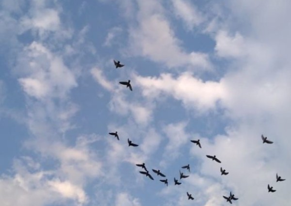 (كُن راضياً)