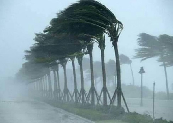 “المركز الوطني للأرصاد” : رياح شديدة علي منطقة المدينة