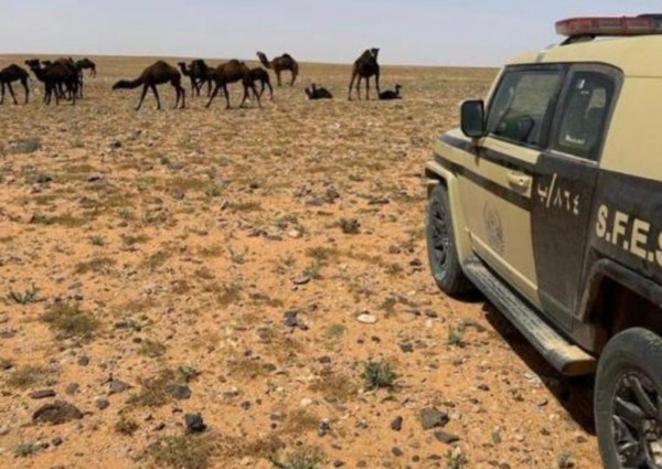 القوات الخاصة للأمن البيئي تضبط مخالفًا لنظام البيئة لارتكابه مخالفة رعي