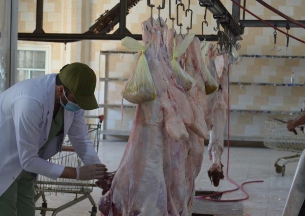 مسالخ منطقة الجوف تستقبل 5371 ذبيحة خلال موسم عيد الأضحى المبارك