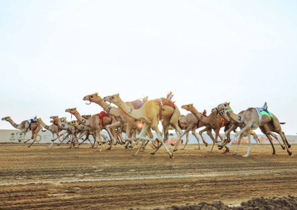 البلوي: الفوز بأشواط مهرجان ولي العهد مفخرة