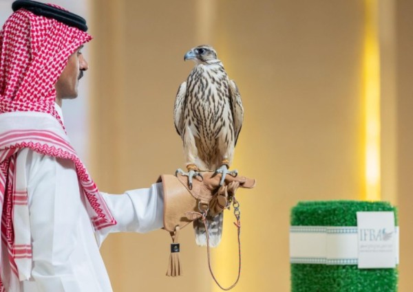 بيع صقرين بـ 170 ألف ريال في الليلة الأولى لمنصة المزاد الدولي لمزارع إنتاج الصقور