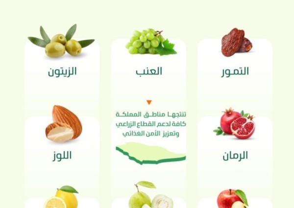 التمور والزيتون والرمان تزين موسم الفواكه المحلية الطازجة بالمملكة خلال سبتمبر الجاري