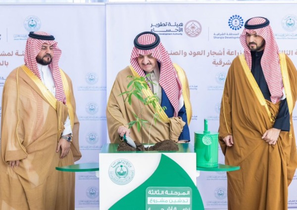 أمير الشرقية يغرس أول شتلة “صندل” بالمنطقة الشرقية في مبادرة السعودية الخضراء