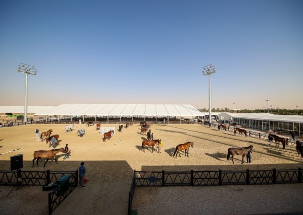 الخميس .. انطلاق الأسبوع الثاني من “قفز السعودية”