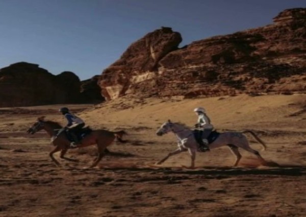 العُلا تستعد لبطولة كأس الفرسان للقدرة والتحمل 2025