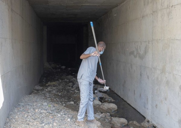 فرق أمانة الطائف تعالج 574 مستنقعاً وبركة مائية لاحتواء المهددات البيئية