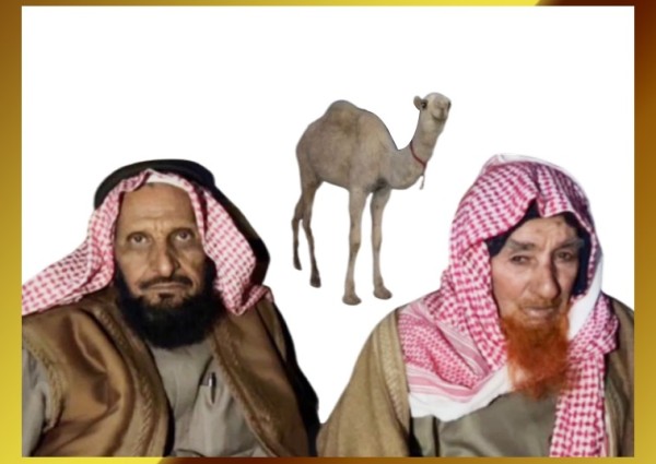 الإهداء في أبهى صورة.. “منور بن فيحان الشويلعي” يٌهدي قعود لـ”شامان بن خلف الشويلعي”