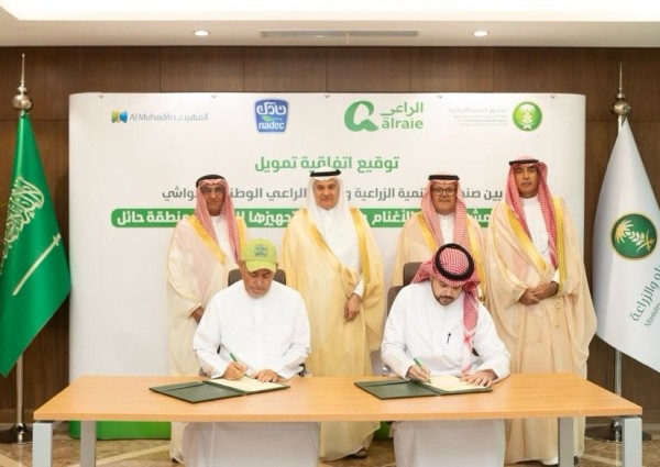 صندوق التنمية الزراعية يموّل مشروعًا نوعيًا لتربية الأغنام بحائل لتعزيز الأمن الغذائي