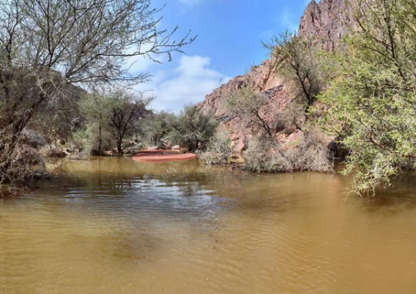 انضمام “شمال الرياض جيوبارك” و”سلمى جيوبارك” لشبكة اليونسكو