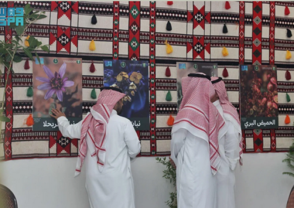 معرض «النباتات البرية» في ربيع عرعر يعرّف الزوار بأكثر من 40 نوعًا مهددًا بالانقراض