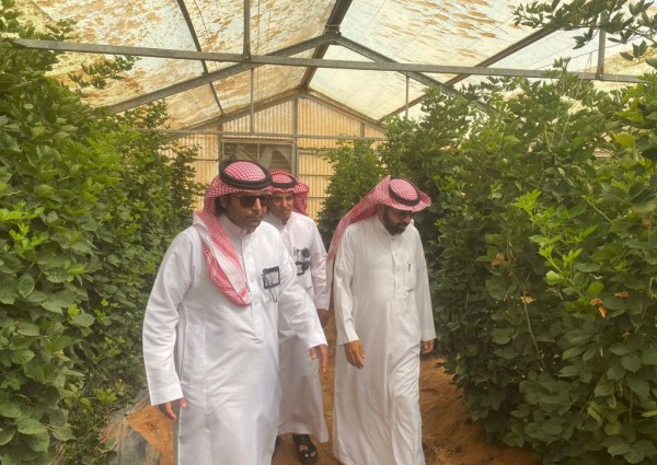 «بيئة رياض الخبراء» تتفقد البيوت المحمية والمشاتل وتبحث تحديات المزارعين