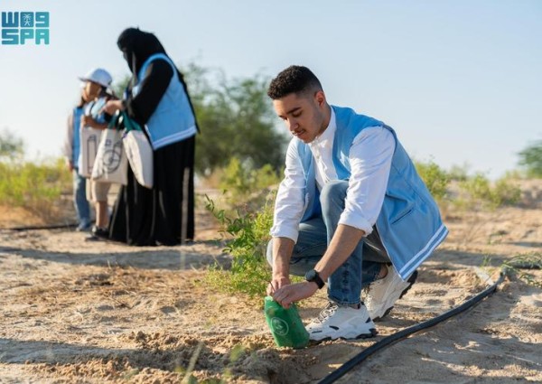 31 مليون شجرة في المنطقة الشرقية.. «الغطاء النباتي» يقود مشاريع تشجير ضخمة لتحقيق السعودية الخضراء