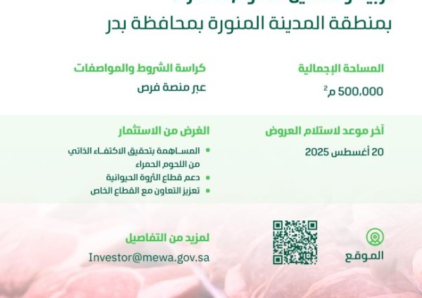«البيئة» تطرح فرصة استثمارية لتسمين اللحوم الحمراء على مساحة 500 ألف م² بمحافظة بدر