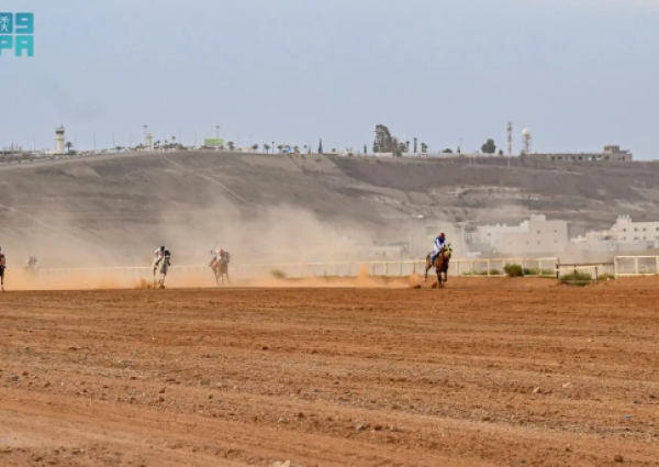 سباق الخيل الثاني في العقيق يشهد حضورًا رسميًا وتنافسًا قويًا بين الجياد المحلية والعربية