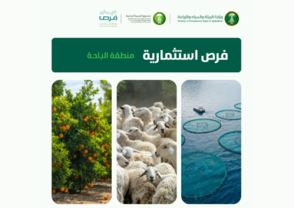 البيئة تعلن عن 4 فرص استثمارية زراعية وسمكية في الباحة لتعزيز الأمن الغذائي وتحقيق الاكتفاء الذاتي