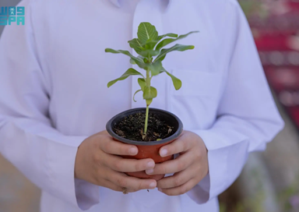 إطلاق مبادرة “المساجد الخضراء” لتحويل 664 مسجدًا بالحدود الشمالية إلى نماذج بيئية مستدامة