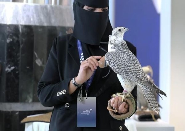 أمينة العنزي: أول رائدة في مجال الصقارة بالحدود الشمالية