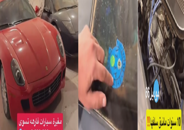 لامبورجيني وكوبرا تحت الغبار.. شاهد أغرب “مقبرة” سيارات في سكاكا بـ 25 مليون ريال (فيديو)