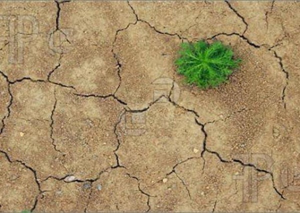 عمل صالح ينتفع به