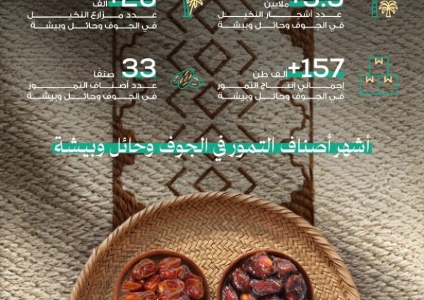 33 صنف تمر و3.5 مليون نخلة.. حلوة الجوف وصفري بيشة تتألق على موائد رمضان