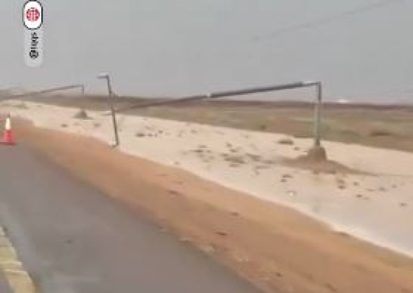 رياح قوية.. سقوط أكثر من 12 عمود كهرباء دون خسائر بشرية بطريق رياض الخبراء (شاهد)