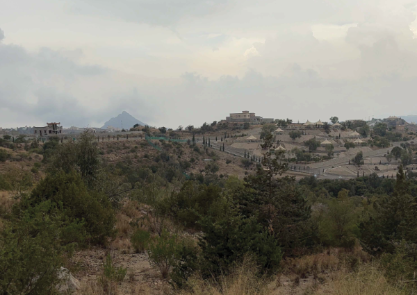 من “السكران” إلى “التلال”.. تفاصيل طرح 3 ملايين متر مربع للاستثمار البيئي في الباحة