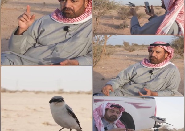 قصة صداقة غريبة في قلب الطائف.. حكاية المواطن عبد الرحمن العتيبي مع “طائر” غيّر حياته (شاهد)