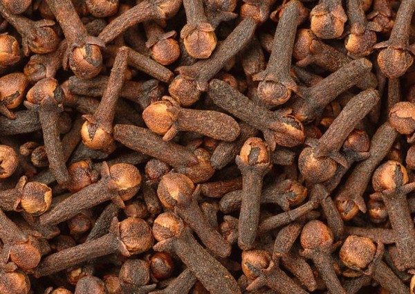 النمر يكشف السر: لماذا لا يُعتمد على القرنفل في وقف النزيف؟