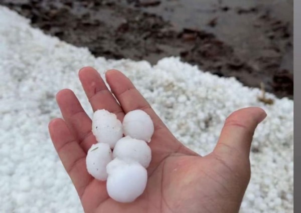 بردية تاريخية تضرب “مركز عماير المرير” و”دغيبجة حائل” وتحول الصحراء إلى لوحة بيضاء.. وتحذيرات من السيول وغرامات تصل إلى 10 آلاف ريال (صور)
