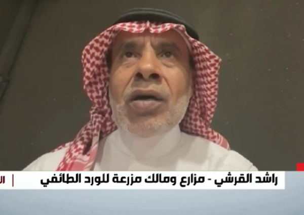 سعرها خيالي.. القرشي يكشف عن “أغلى تولة” في تاريخ الورد الطائفي (شاهد)