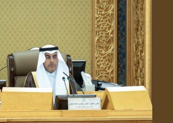 مجلس الشورى يصدر قرارات وتوصيات لتعزيز كفاءة الأداء الحكومي ودعم التنمية