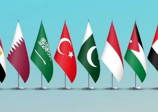 السعودية ومصر وتركيا ودول أخرى تستنكر انتهاكات بحق محتجزي أسطول غزة