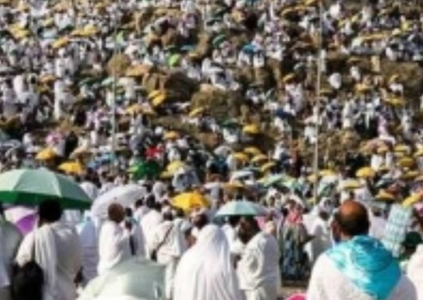 يوم عرفة.. شعيرةٌ تُحيي القلوب وتجمع الأمة