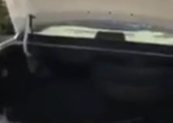 بالفيديو.. لا تضع أضحيتك في شنطة السيارة وإلا سيحدث هذا