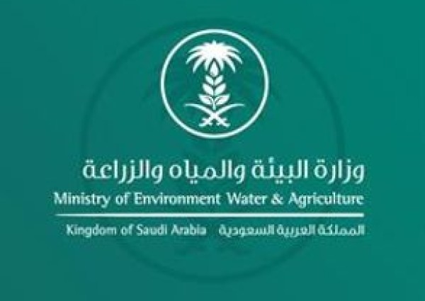 “البيئة” توصي بإغلاق أسواق الإبل في وادي الدواسر والقريات مؤقتاً