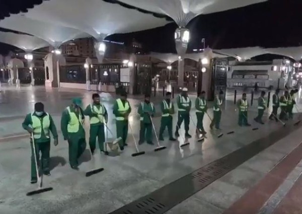 أمانة المدينة”: استعنا بخبراء والحشرة ستختفي خلال أسابيع بفعل الحر