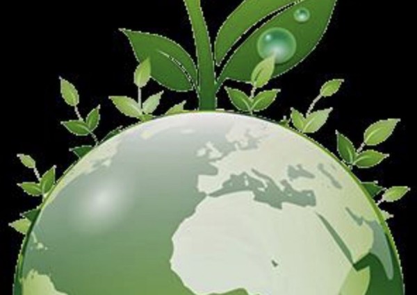 مؤسسة لإعادة “تدوير” الطعام والملابس والأجهزة المهدرة وتوزيعها على الجمعيات الخيرية