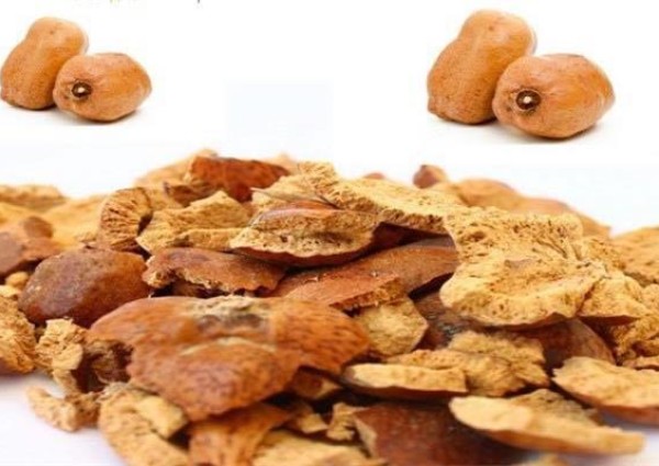 هل تعلم أن ثمرة “الدوم” لها فوائد علاجية وصحية؟.. تعرف عليها