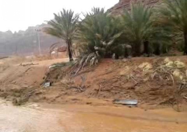 المدينة.. وفاة شخص وإنقاذ 94 محتجزاً في «سيول العلا»