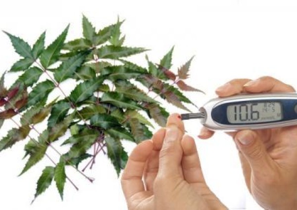 أعشاب يزعم مروجوها أنها تشفي من مرض السكري.. و”الغذاء والدواء” ترد