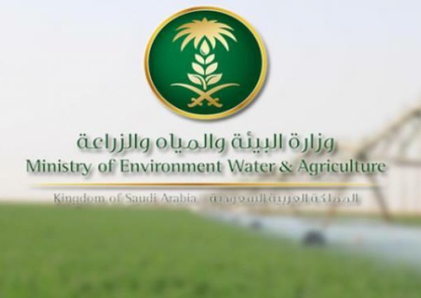 “البيئة”: إيقاف دخول الرعاة ومواشيهم من الدول المجاورة للمملكة 5 سنوات