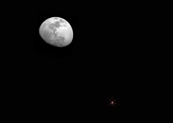 القمر يقترن بالدبران … «الخميس»